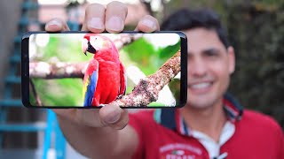 SAMSUNG GALAXY S9 PLUS  O MELHOR QUE SEU DINHEIRO PODE COMPRAR NO BRASIL  UNBOXING E IMPRESSÕES [upl. by Bev809]