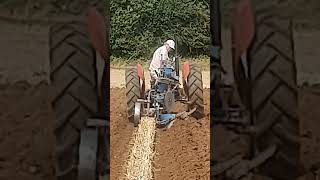 Massey Ferguson 35 Tractor at BDVPS Rousham Ploughing Match Sunday 18th August 2024 [upl. by Nnodnarb]