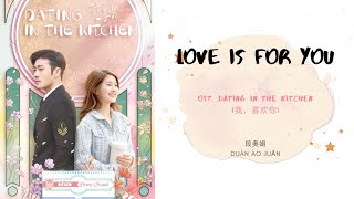 Love Is For You  Clare Duan 段奥娟 OST Dating In The Kitchen 《我，喜欢你》 PINYIN LYRIC [upl. by Beckerman]