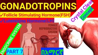 GONADOTROPINSENDOCRINE PART 7FOLLICLE STIMULATING HORMONE LITUNIZING HORMONEESTROGENTESTESTRON [upl. by Odrarej341]