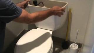 How to remove a leaking toilet tank [upl. by Jezreel]