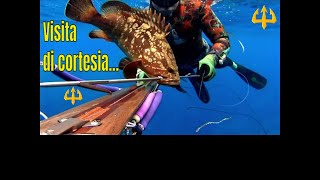 Pesca sub  🔱 Visita di cortesia Sardegna [upl. by Hartman]