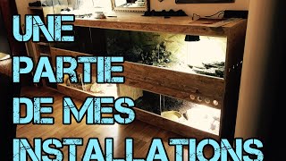 reptile room tour  une partie de mes installations [upl. by Lorre478]