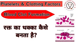 Platelets Clotting Factors Blood Clot Formation Coagulation Of Blood Coagulation Process [upl. by Rosmarin62]