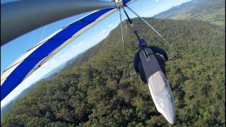 Wedge tailed eagle on the attack Paul Reilly Hang Gliding [upl. by Adlai]