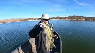 Swimming a Fluke at Lake Nacimiento [upl. by Rehsu774]