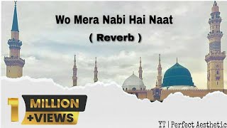 Wo Mera Nabi Hai  Wo Mera Nabi Hai Naat Lofi  New Naat 2022 🥀 [upl. by Shultz]