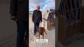 Polnische Ostsee Urlaub mit Hund in Kolberg [upl. by Brandice]