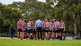 Undefeated Cranbrook CAS 2nd XV Premiers 2023 [upl. by Ladd479]