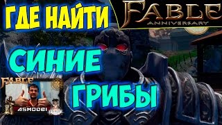 Fable Anniversary ЭТО ГРИБЫ Где найти синие грибы [upl. by Anitsihc]