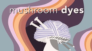 DIY Mushroom Dyeing How to Use Mushrooms as a Natural Dye [upl. by Endo]