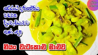 නියං වැටකොඵ රසට උයමු  නියං වැටකොඵ මාලුව  Luffa Ridge gourdcurry Sponge gourd curry SithuNethu [upl. by Belac]