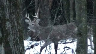 Rifle Buck Season Deer Hunting 2013 Opening Day  John [upl. by Orola412]