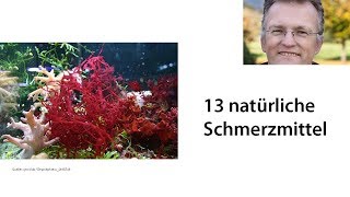 13 natürliche Schmerzmittel [upl. by Heidi]