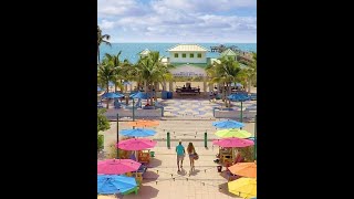 Lauderdale by the Sea Freedive  Summer Adventure Series Part 3 2024 Video [upl. by Aleafar]