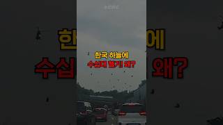 한국 상공 수십대 헬기가 나타난 이유 [upl. by Bunker715]