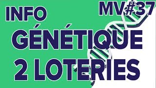 Info génétique deux loteries MV37SVT Collège Mathrix [upl. by Haneehs]