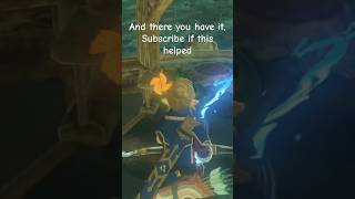 How to perform blss glitch in botw zelda viralvideo zeldabotw botw glitch [upl. by Rennoc]