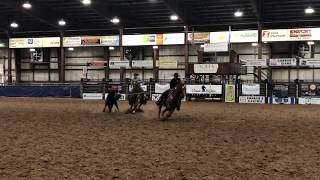 Bowmans Metallic Cat aka Slinky and Luke Jones heeling  Black Hills Stock Horse Show January 2020 [upl. by Koppel]