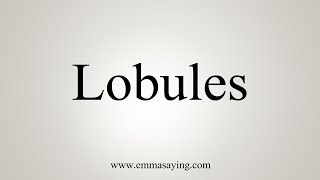 How To Say Lobules [upl. by Gav]