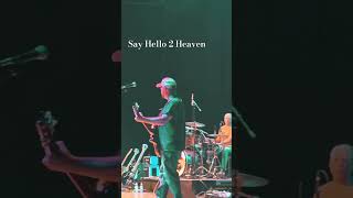 Say Hello 2 Heaven  Temple of the Dog cover [upl. by Aid]