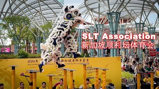 SLT Association Singapore 新加坡顺利坛体育会 Kweichow Moutai Cup Singapore Lion Dance Championship 2024 [upl. by Herwig]