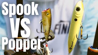 What Is The BEST TOPWATER Lure Spook VS Popper [upl. by Cis428]