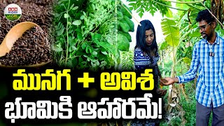 మునగ  అవిశ భూమికి ఆహారమే   Munaga  Avisha is food for the earth  ABN Agri [upl. by Norris470]