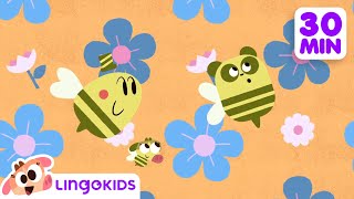 BEES DINOSAURS AND MORE FUN CARTOONS 🐝🦖 Science for Kids  Lingokids [upl. by Ephrayim]