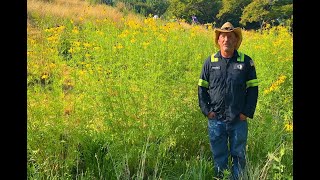 Untermyer Gardens Conservancy Meadow Making With Timothy Tilghman [upl. by Retniw]