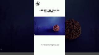 6 Benefits of Wearing Rudraksha shorts [upl. by Phelps]