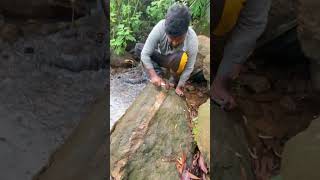 Really Hard To Crack It 🤯 crystals gems gold rockhounding satisfying [upl. by Gapin340]