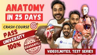 Anatomy in 25 days crash course  Pass in university exams 100 guarantee MBBS 1st year [upl. by Aleakcim]