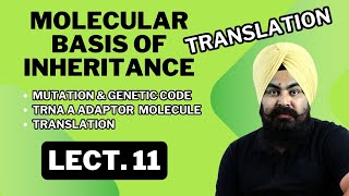 Molecular Basis of Inheritance  LECTURE 11  Complete NCERTBased Lecture  BIOLOGY ncert [upl. by Yror634]