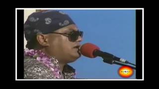 Pekelo amp Friends 1993 Slack key festival [upl. by Urban]