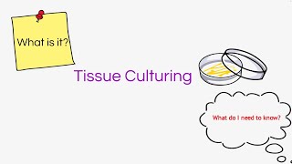 TIssue Culturing Biology BugbearsLeaving Cert Biology2023 [upl. by Mot]