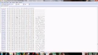 Hex Editing Tutorial 1 [upl. by Hoem667]