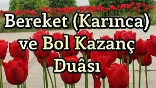 Bereket Duası  Karınca Duası  Bol Rızık Duası  Amin [upl. by Siulesoj162]