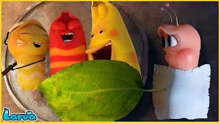 LARVA SEASON 3 EPISODE 416  520 🍟 NEST VERSION LARVA  MINI SERIES FROM ANIMATION LARVA [upl. by Dyoll]