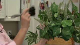 General Housekeeping  How to Clean Silk Plants [upl. by Oriel]