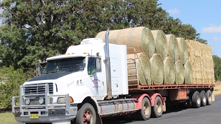 Dunedoo Hay Convey [upl. by Israel]