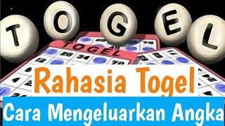 RAHASIA BANDAR MENGELUARKAN HASIL TOGEL [upl. by Ponce]