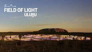 Field of Light Uluru  CriticallyAcclaimed Light Show at Ayers Rock Resort [upl. by Oletta]