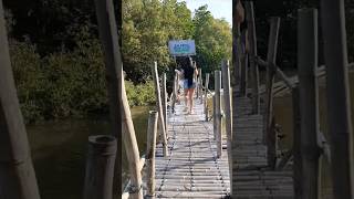 The longest Bamboo Bridge in Negros and Visayas Why Mangrove forest is very beneficial [upl. by Roeser]