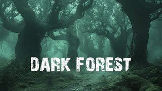 3Hour Dark Forest Ambient Music  A Night in the Misty Forest [upl. by Temirf]