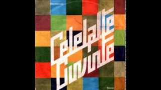 CELELALTE CUVINTE  I  ALBUM  1987 [upl. by Piwowar]