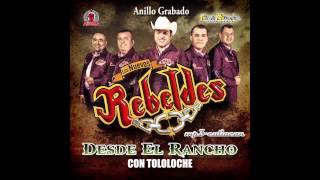 Los Nuevos Rebeldes  Anillo Grabado Desde El Rancho Con Tololoche 2013 [upl. by Aidul343]