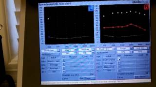 Audioscan Verifit Simulated RealEar Measures [upl. by Tennes]