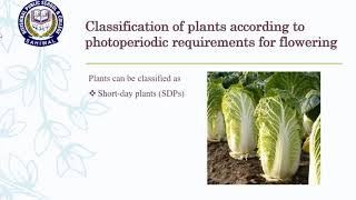 Second Year Biology Chapter No 18 Lecture No 32 Photoperiodism and vernalization by Saima Amer [upl. by Amy151]