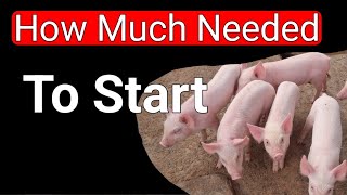 How Much Can I Have to Start A Pig Farming Business in Nigeria [upl. by Lever]